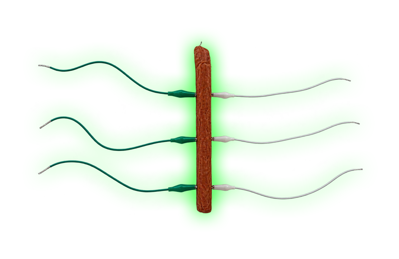The subject under test